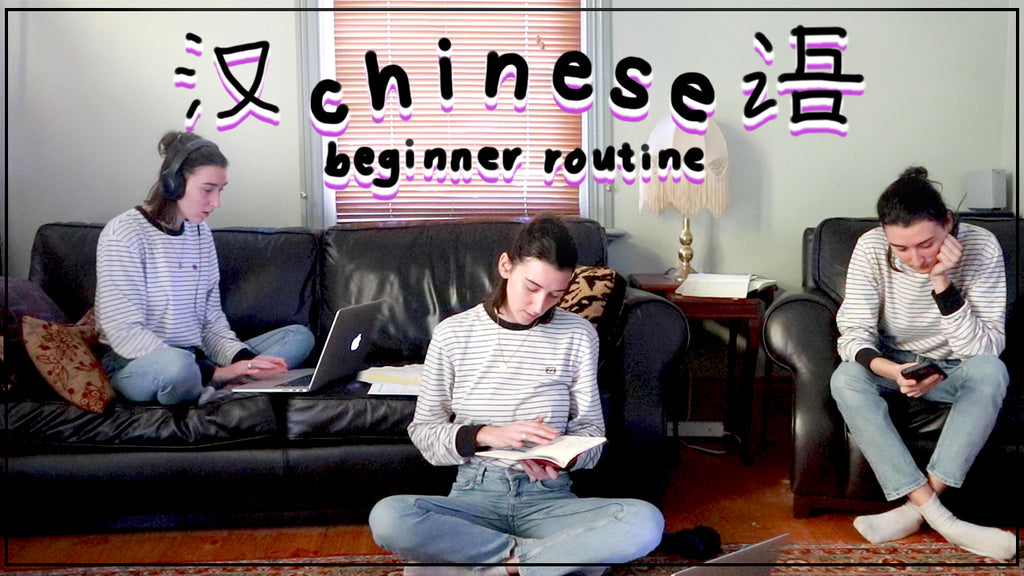 [VIDEO] 1 month progress Chinese study update